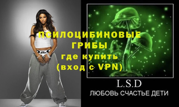 хмурый Вязьма