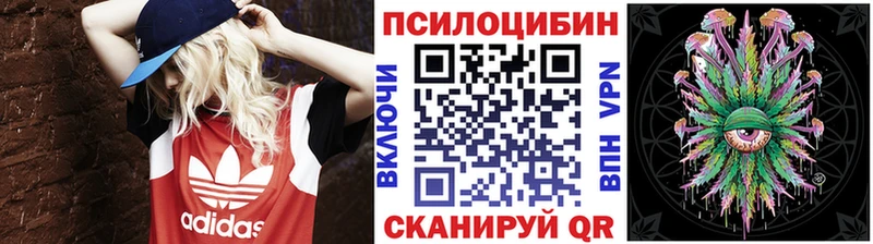 Галлюциногенные грибы прущие грибы  где можно купить наркотик  Элиста 